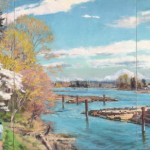 http://namboohee.com/files/gimgs/th-117_Spring at Fraser River Park,2022.jpg